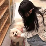 天使崛起内购破解版下载